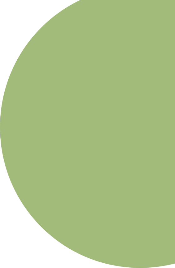 banner-top-shape